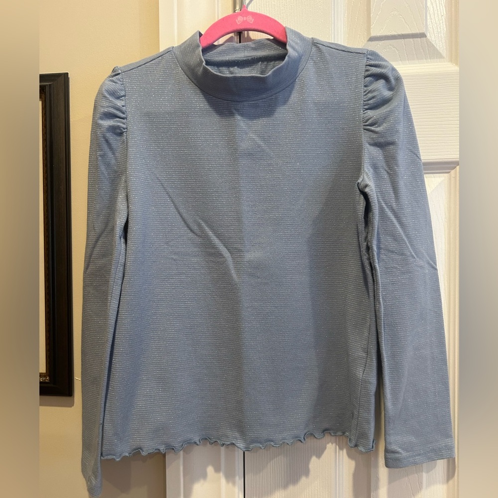 Sparkly Powder Blue Long Puff Sleeve Top